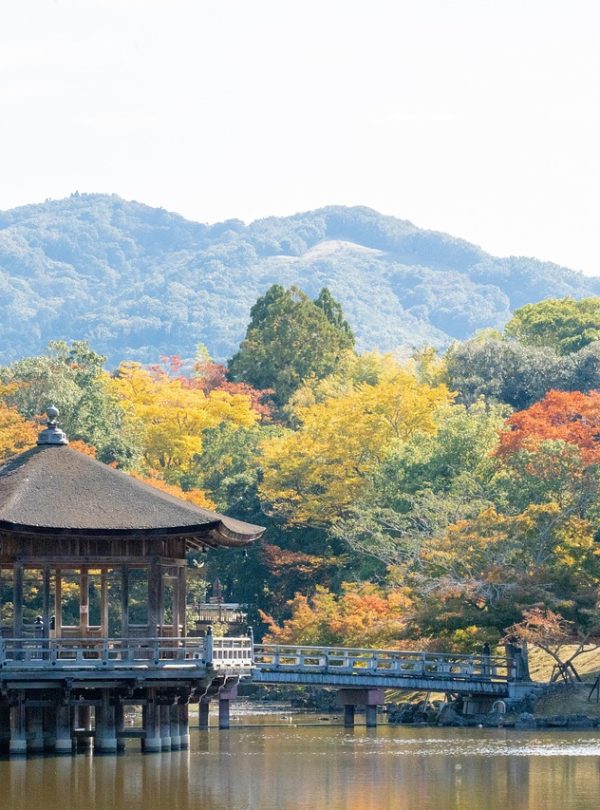 nara-7561425_1280
