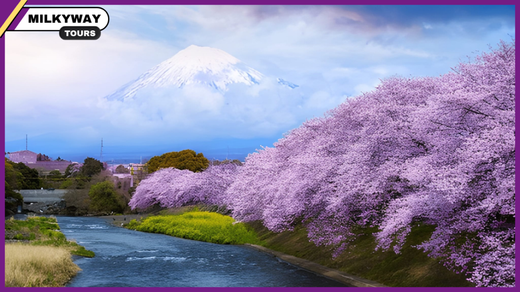 Fuji Five Lakes – Explore Japan’s Scenic Lakes in 2025