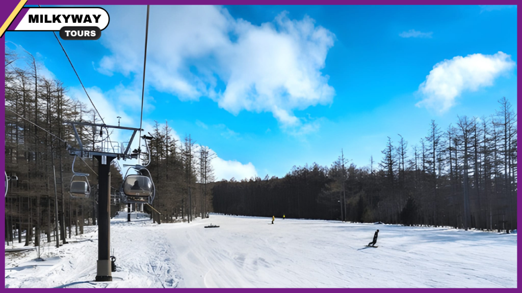 Nagano – Explore Japan’s Mountain Charm and Cultural Heritage