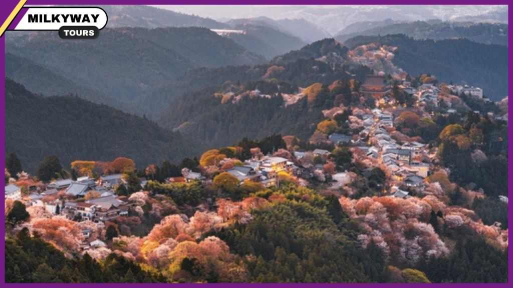 what to do in Kyoto and Nara