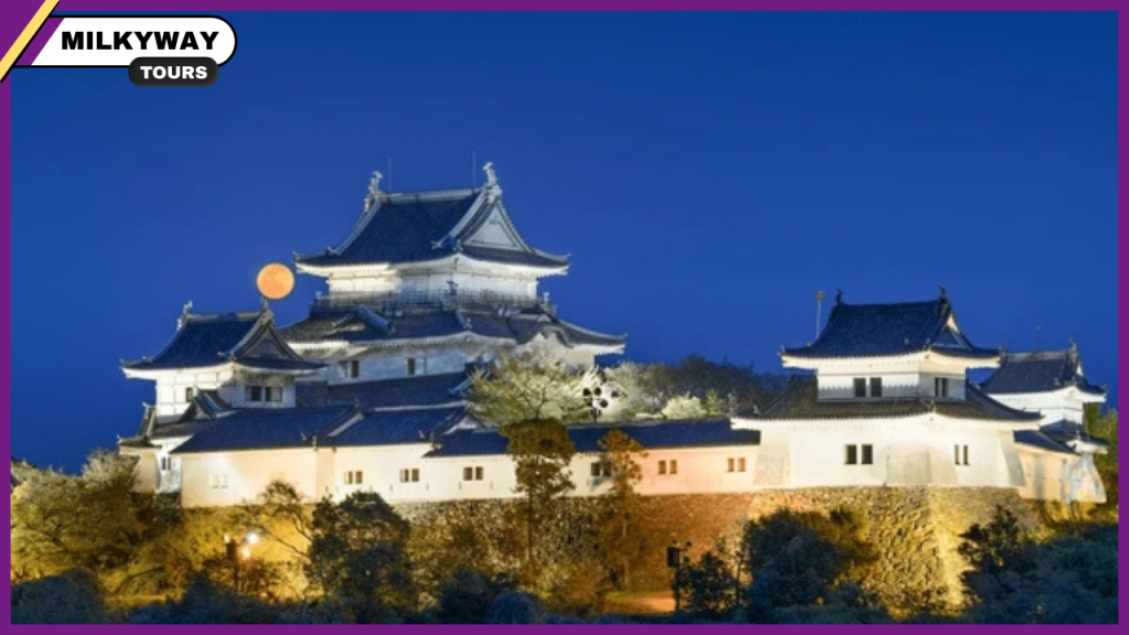 Wakayama