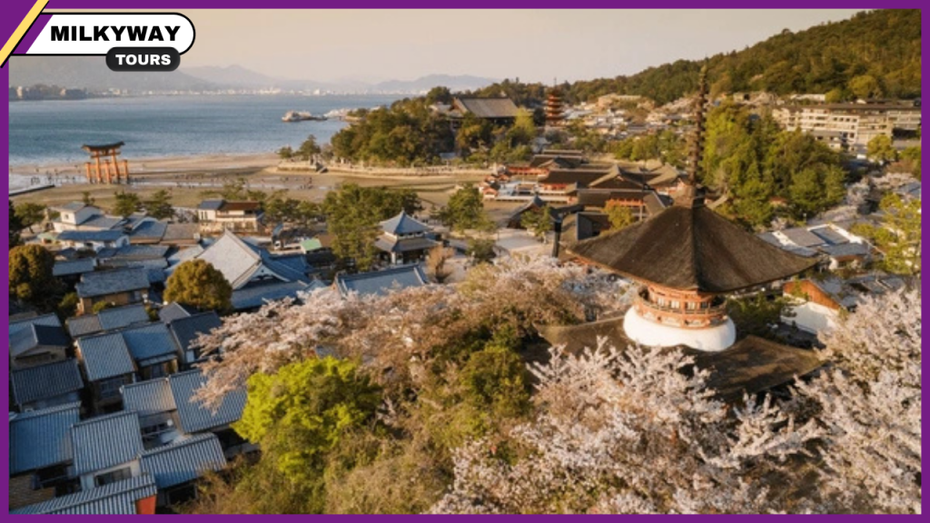 What to do in miyajima at night