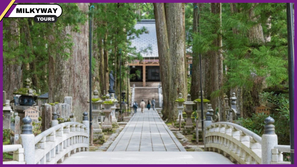 beauty of Mount Koya