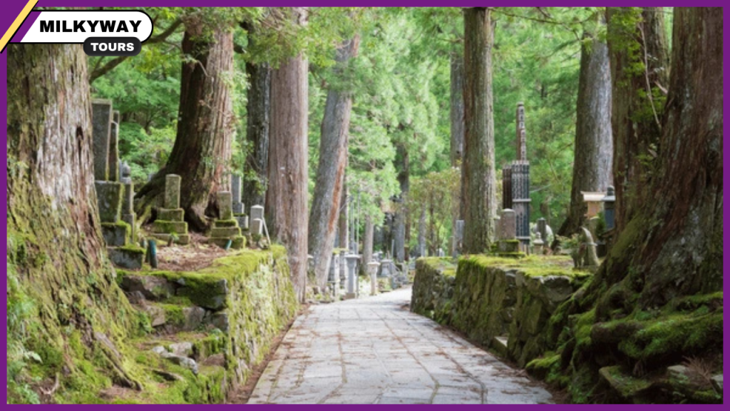 beauty of Mount Koya