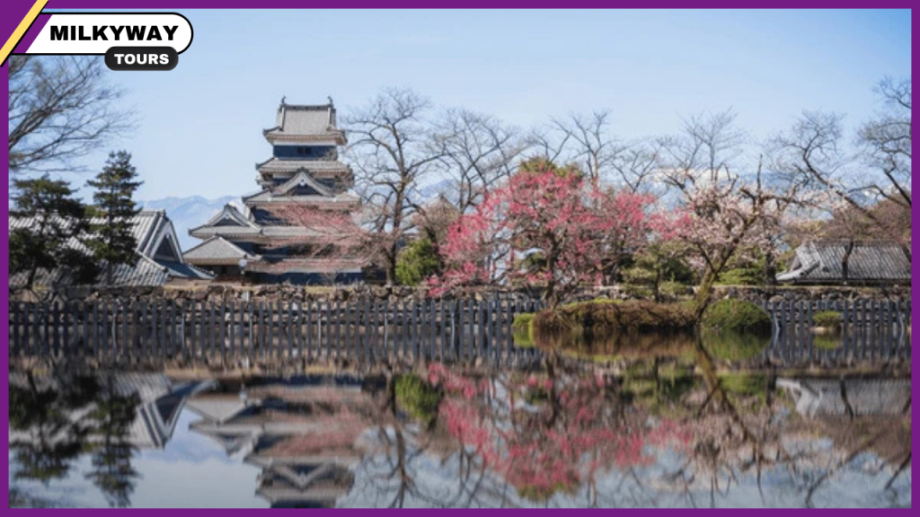 what to do in Matsumoto Castle 