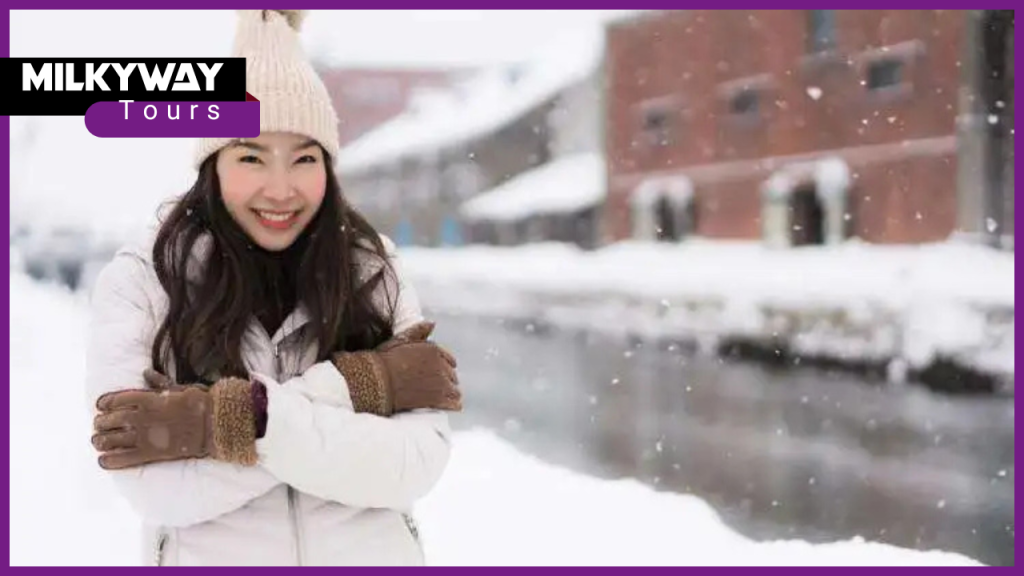 How to Visit Hokkaido in Winter