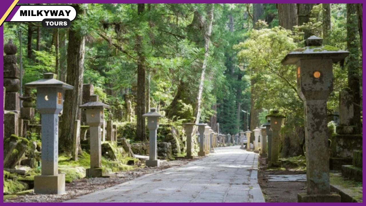 beauty of Mount Koya