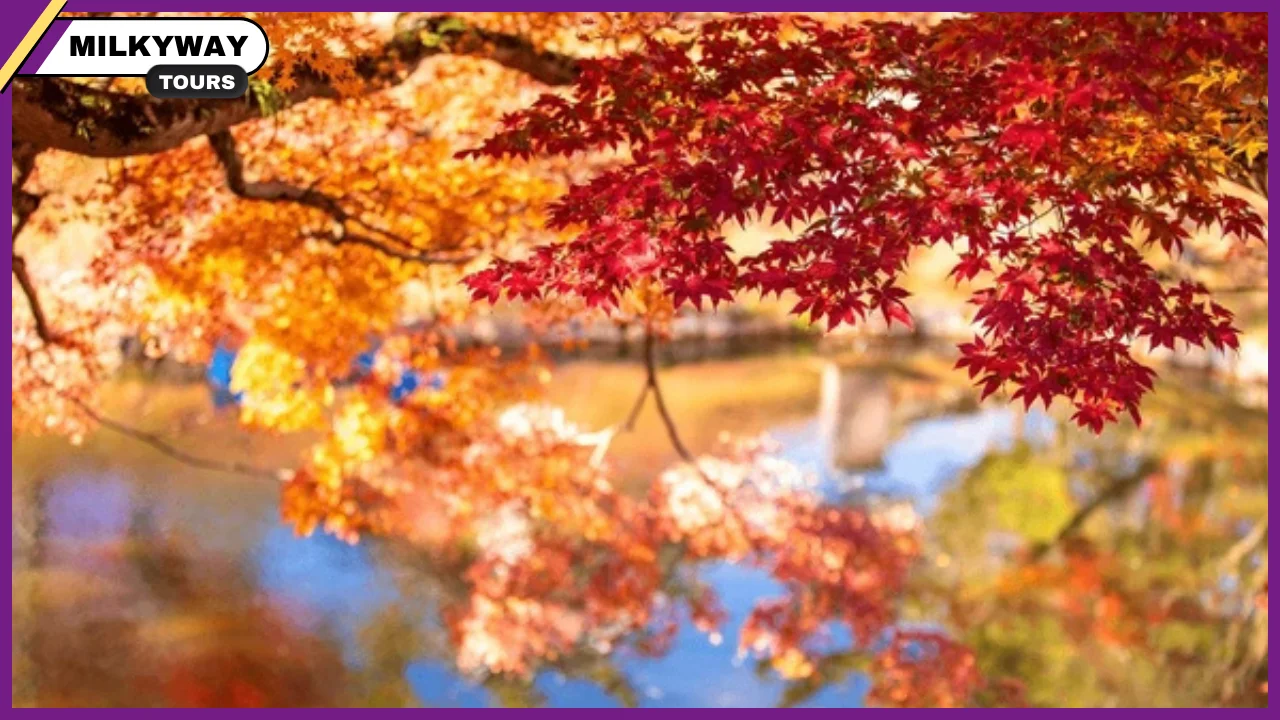 what to do in Kyoto and Nara